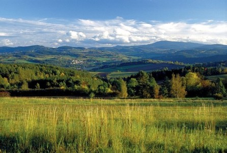 šumava